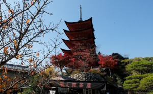 厳島神社五重塔（紅葉）